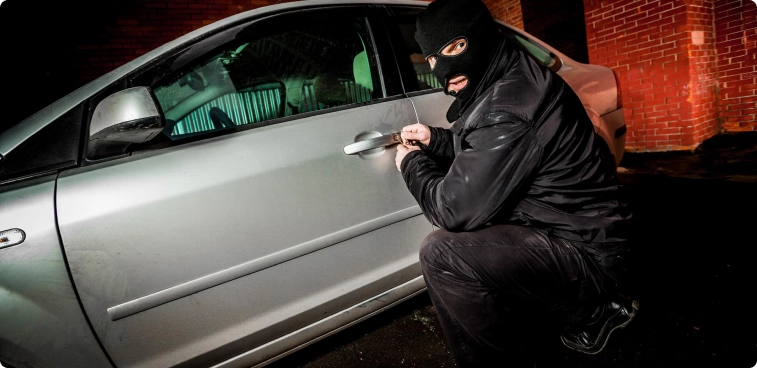 Where Cars Are Most at Risk