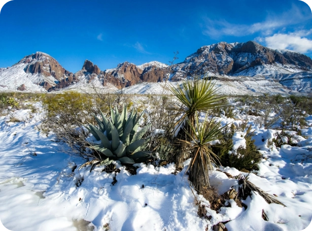 7 TOP SPOTS FOR WINTER GETAWAYS IN TEXAS (2026)