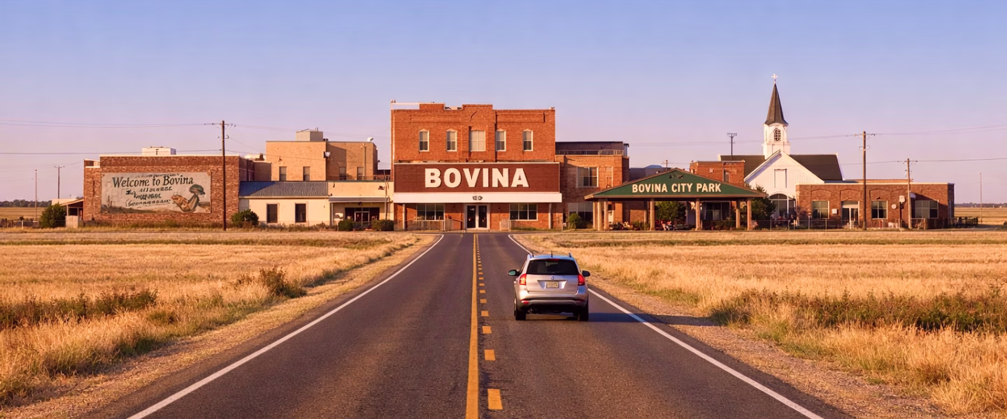 BOVINA