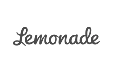 Lemonade