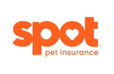 Spot