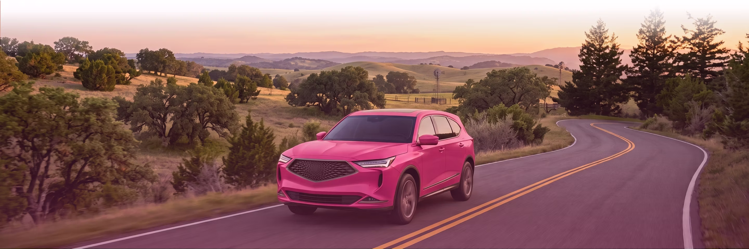 Acura Banner Image