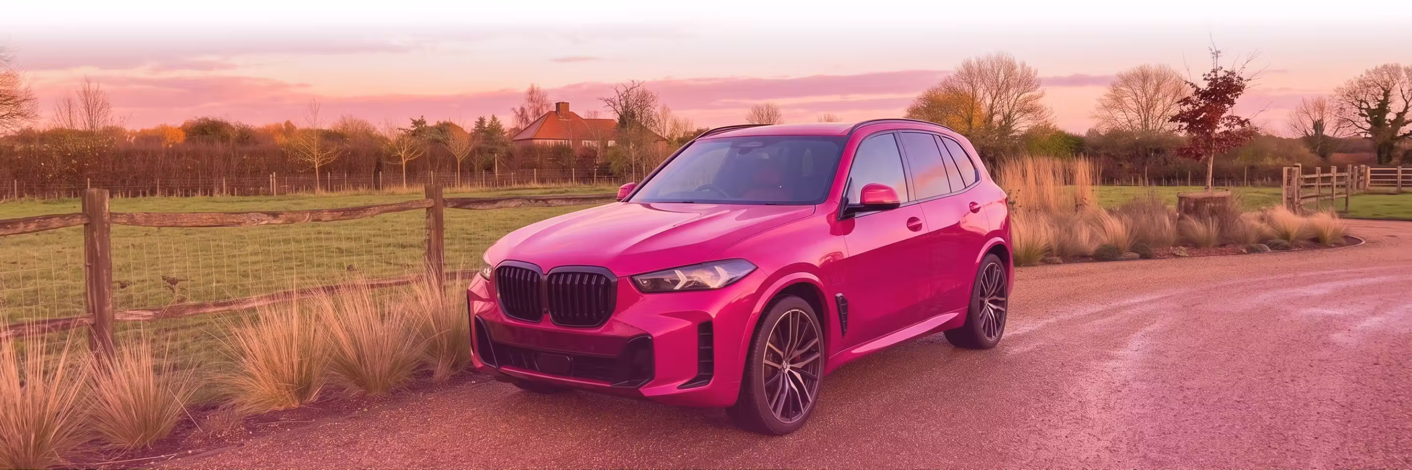 BMW Banner Image