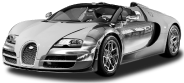 Veyron logo