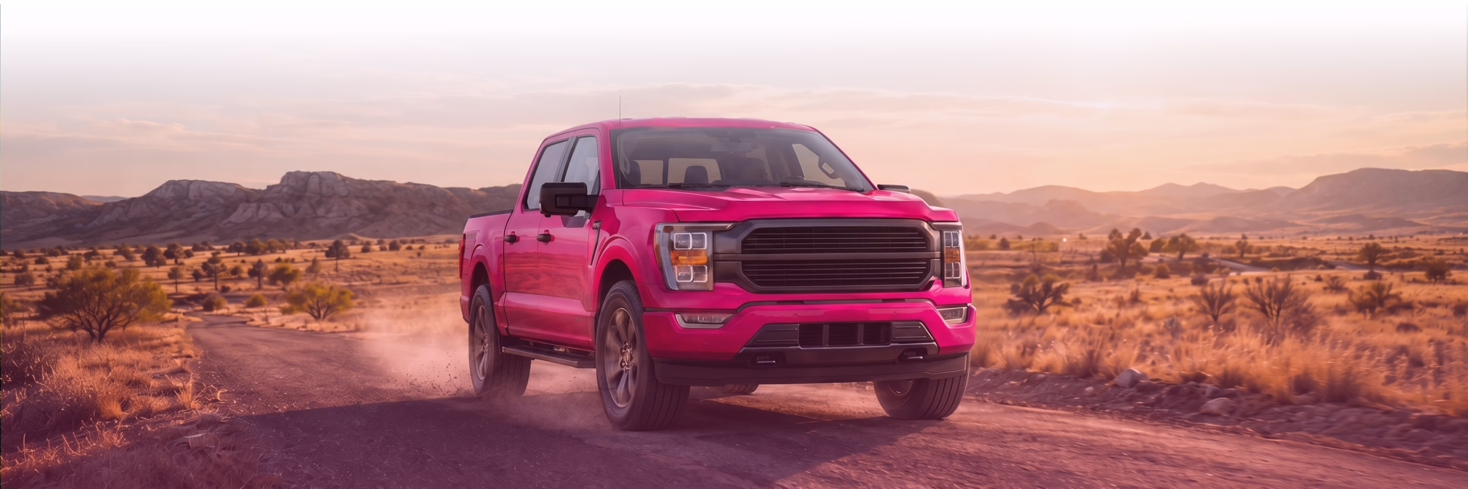 Ford Banner Image