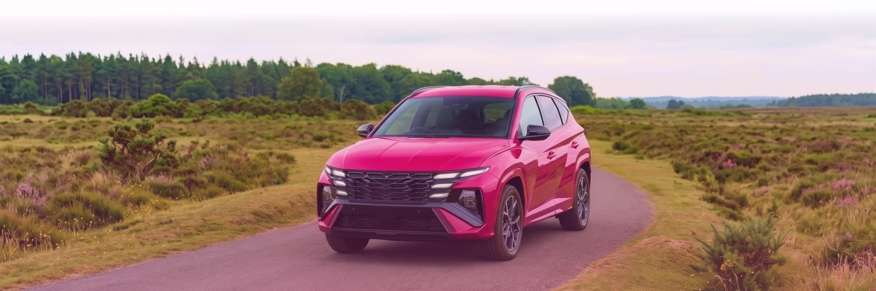 Hyundai Banner Image