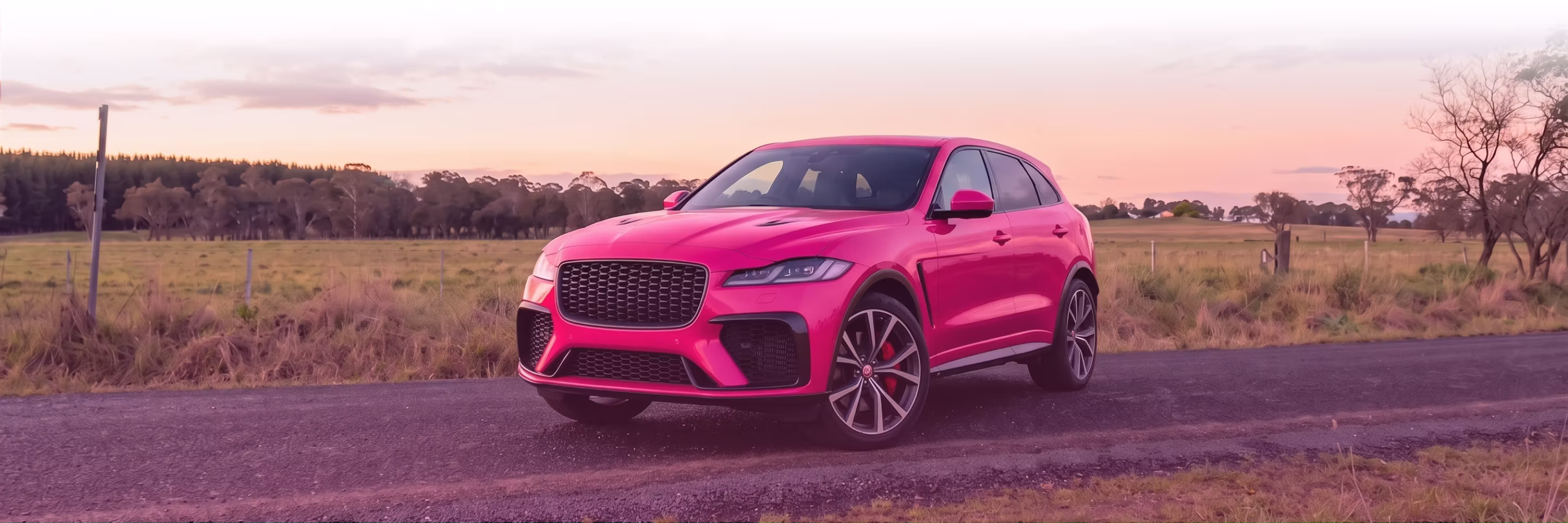 Jaguar Banner Image