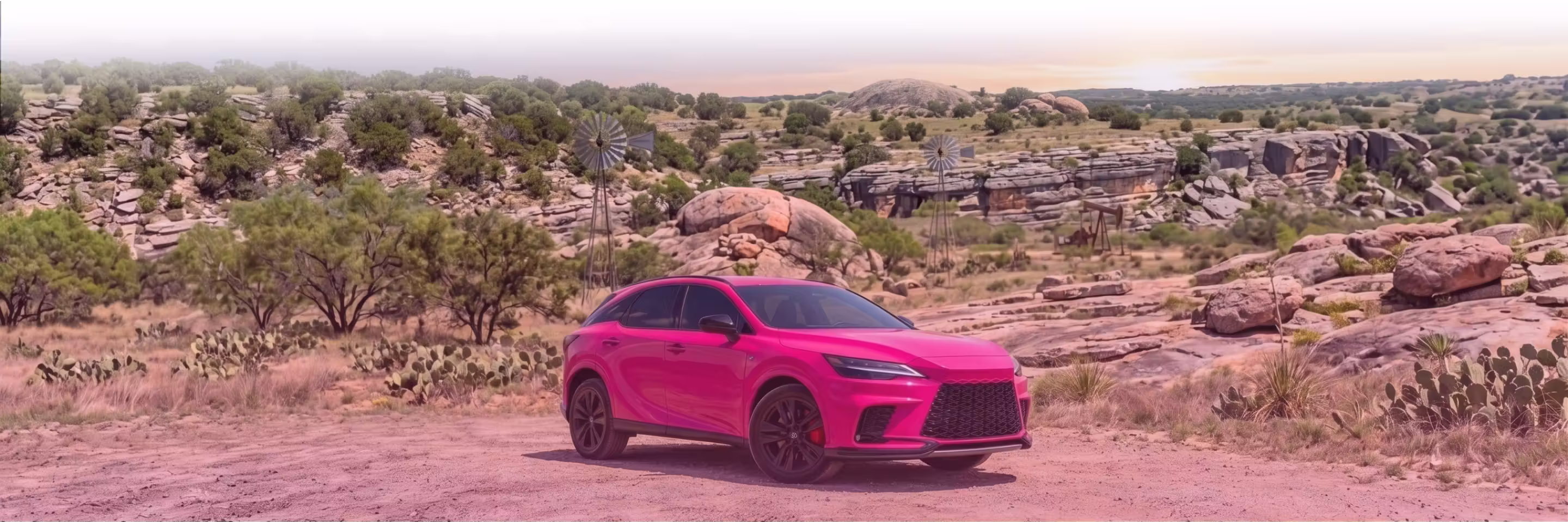 Lexus Banner Image