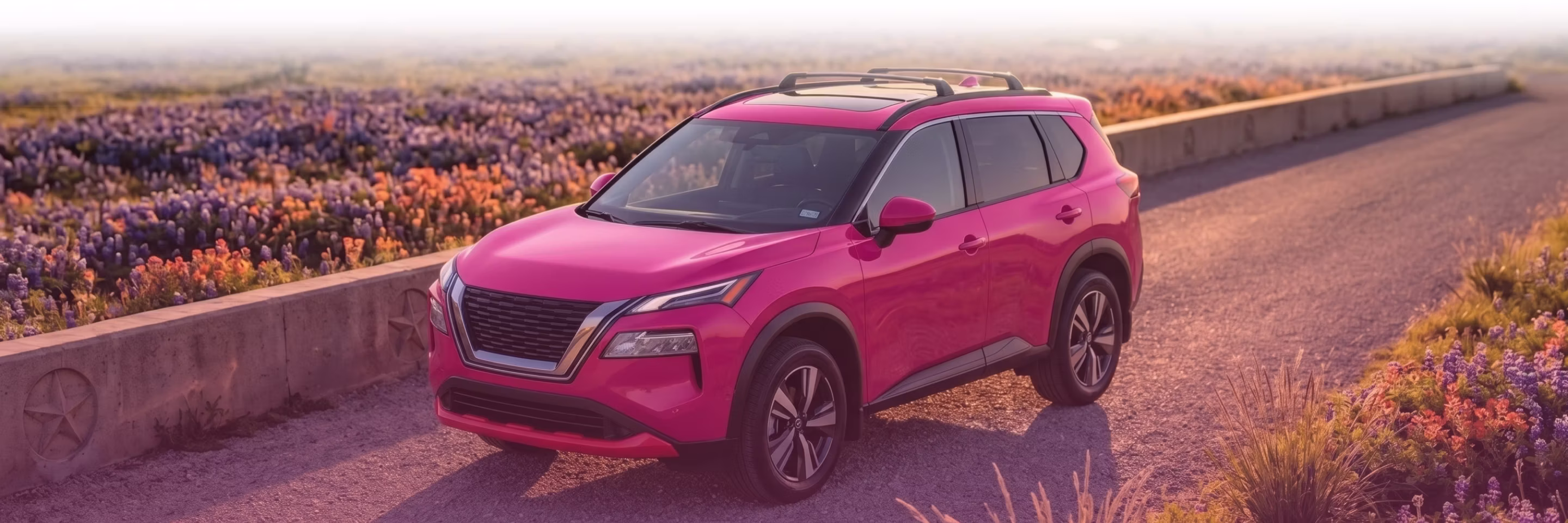 Nissan Banner Image