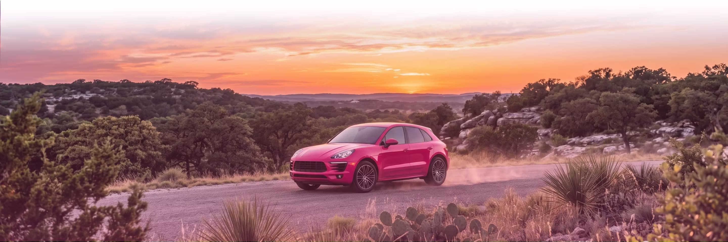 Porsche Banner Image
